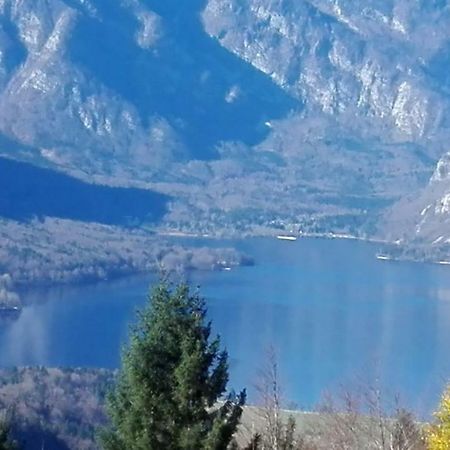 Koprivnik v BohinjuApartmaji Korosec Na Koprivniku公寓 外观 照片