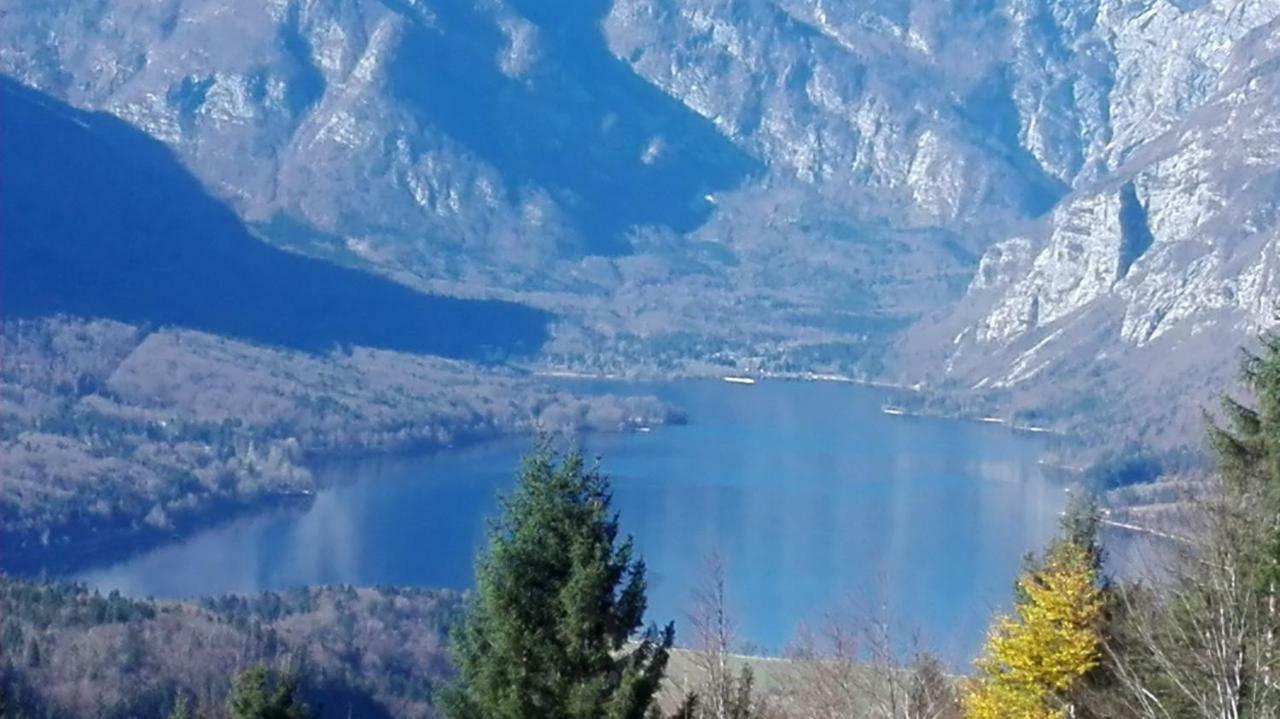Koprivnik v BohinjuApartmaji Korosec Na Koprivniku公寓 外观 照片